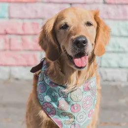 COFFEE & DONUTS BANDANNA