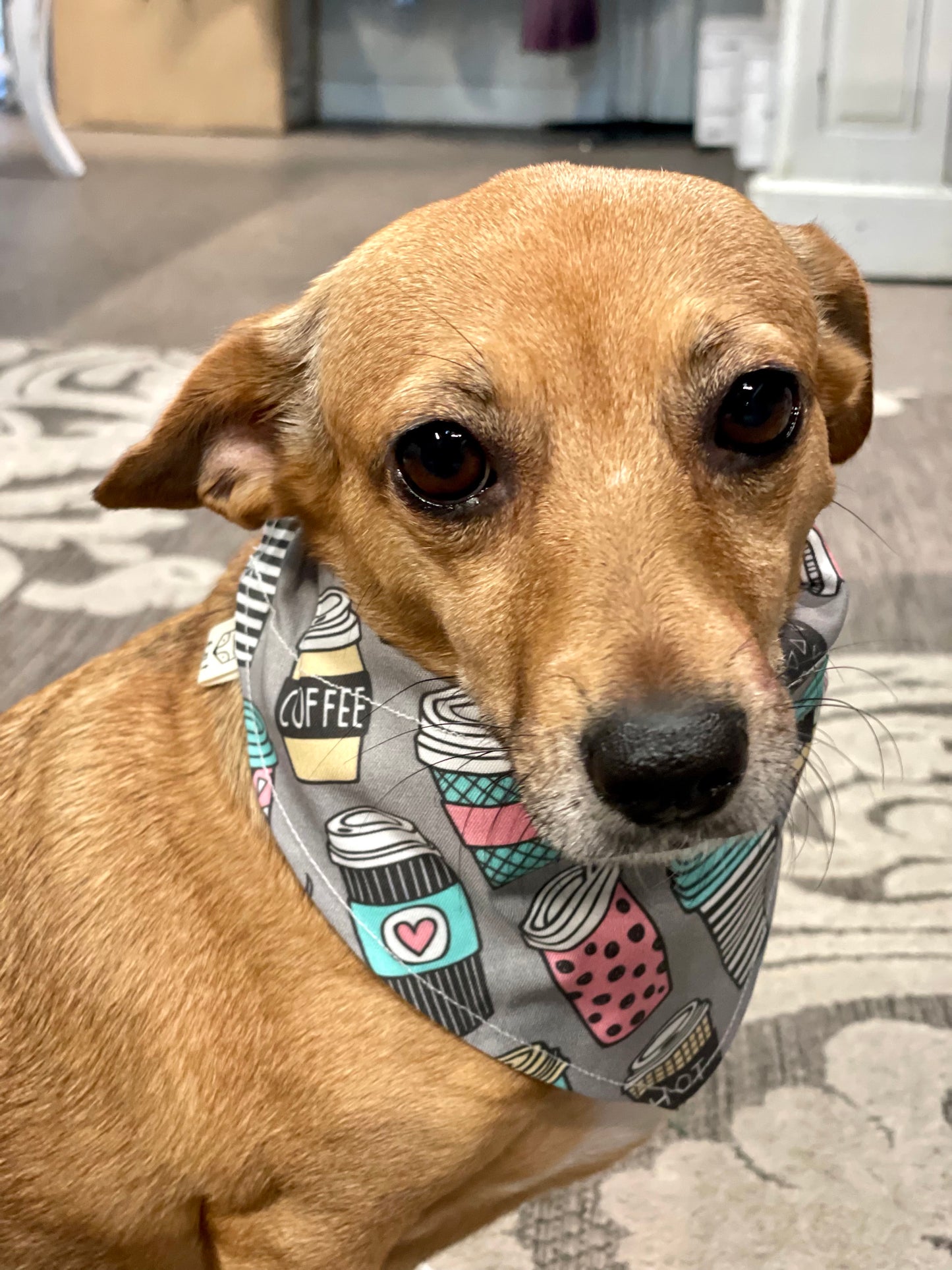 COFFEE & DONUTS BANDANNA