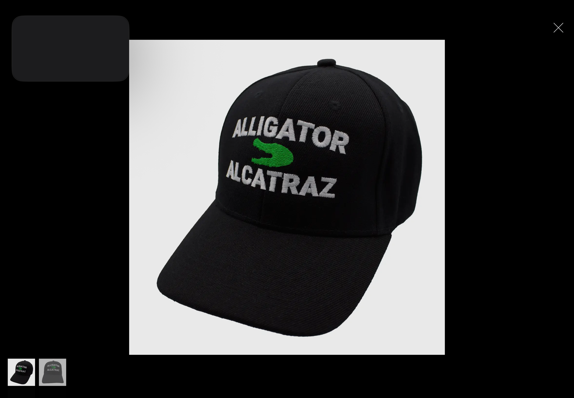 ALLIGATOR HAT