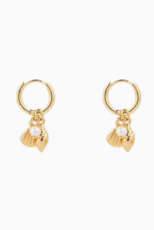 Clam Sea Life Charm Drop Hoop Earrings