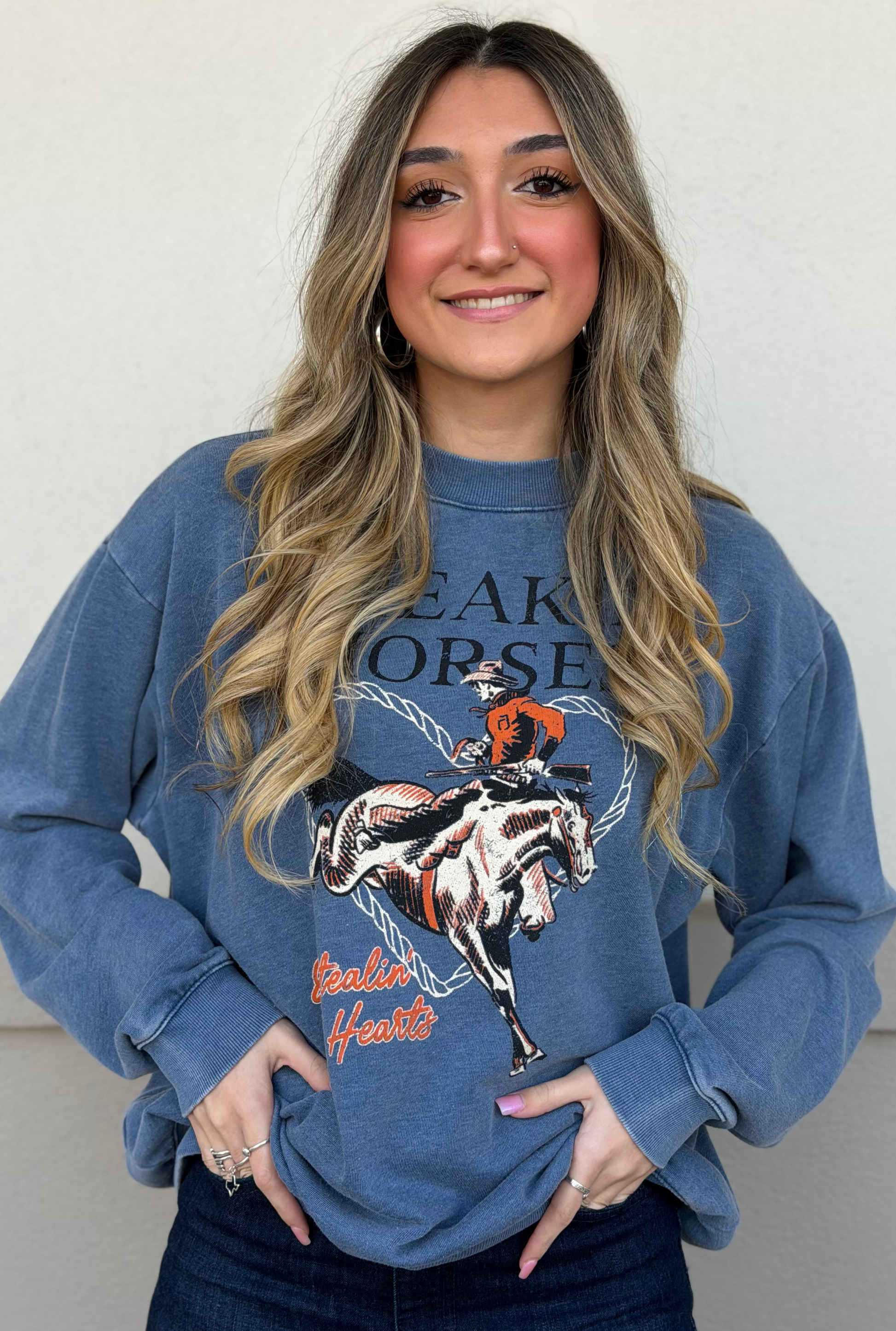 BREAKIN HORSES MINERAL GRAPHIC SWEATSHIRTS