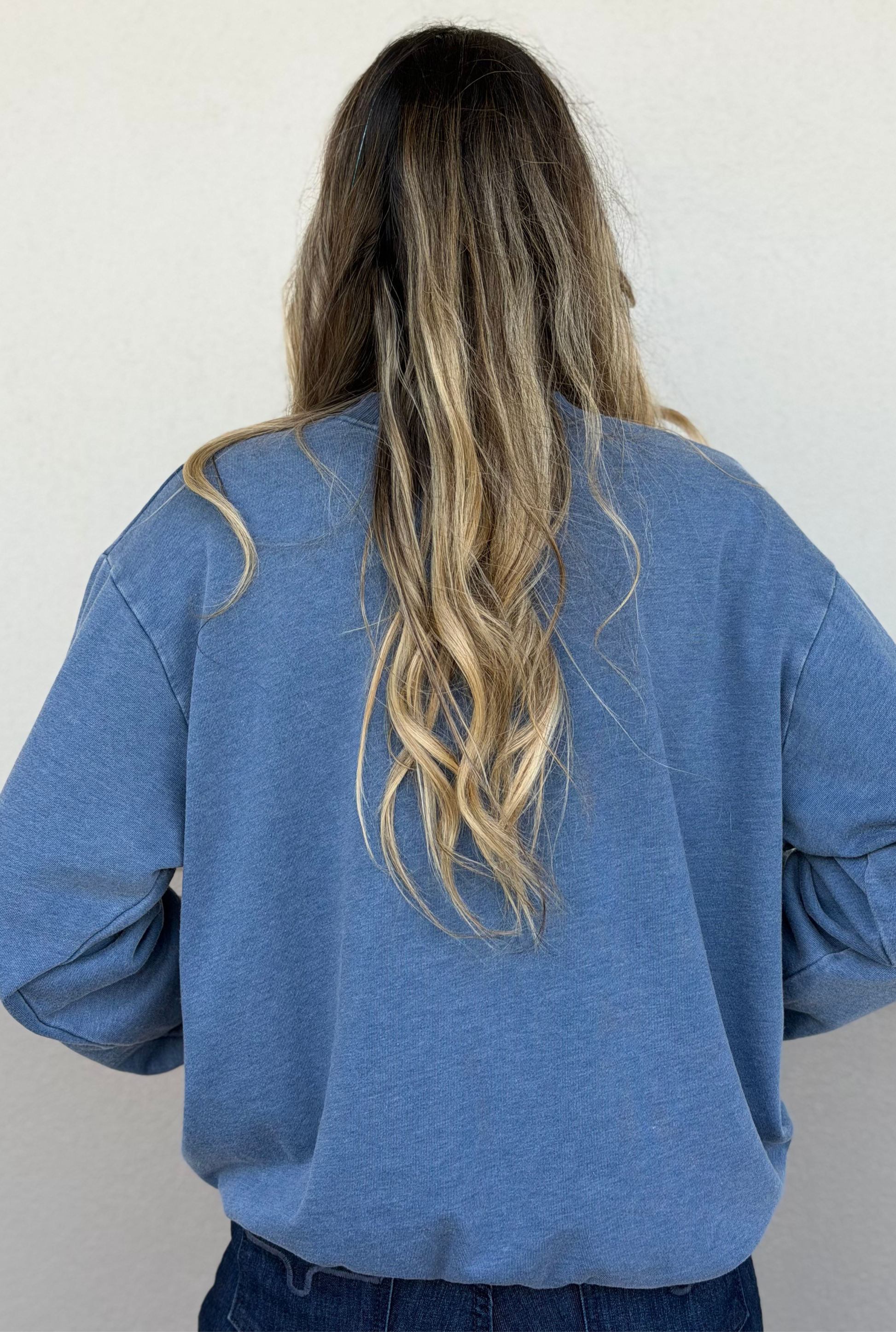 BREAKIN HORSES MINERAL GRAPHIC SWEATSHIRTS