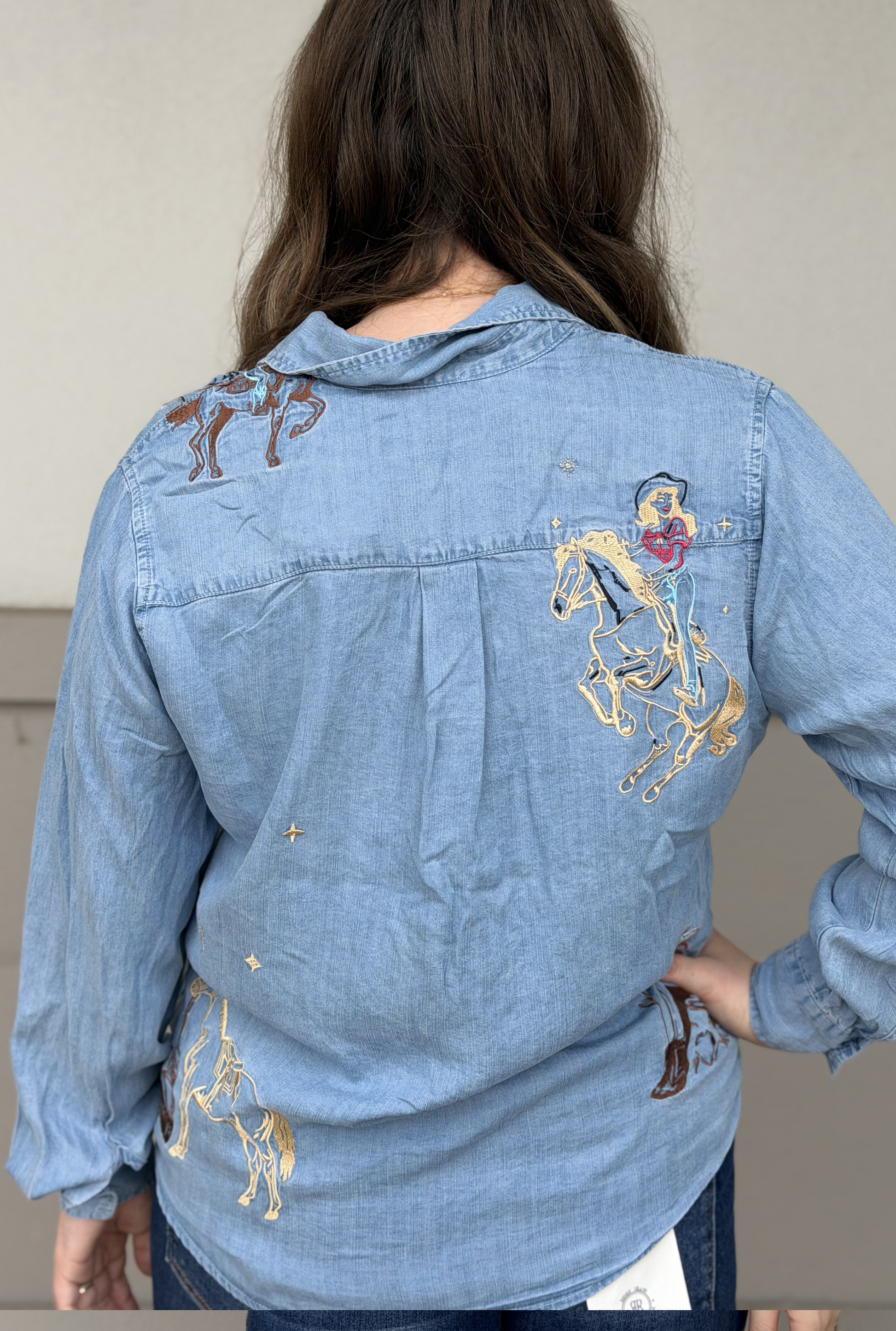 Western Motif Embroidered Tencel Top