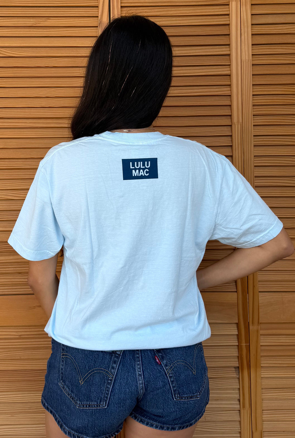 CHAMBRAY STRIPE LM TEE