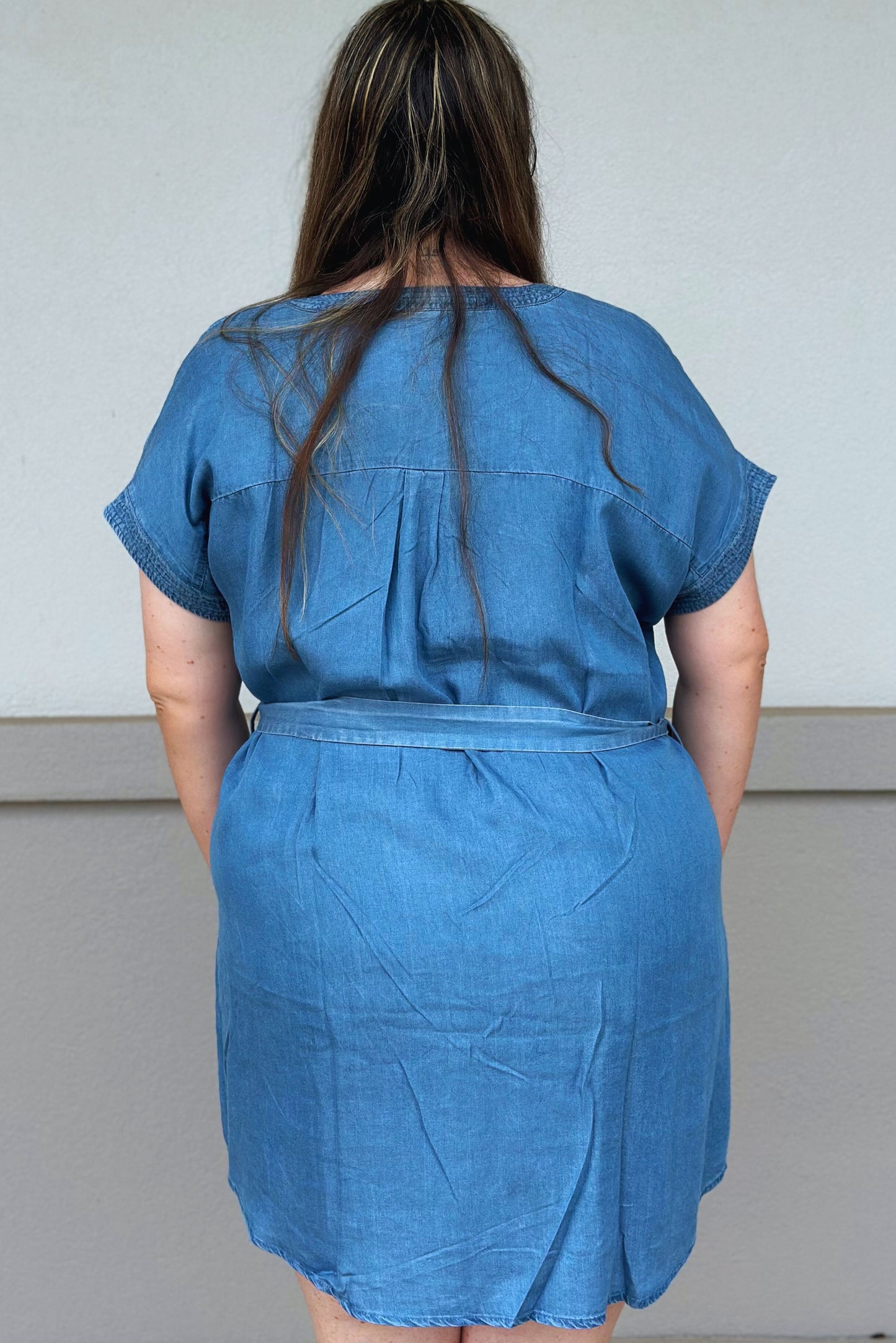 CURVY DENIM DRESS