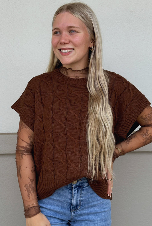 MOCHA MESH LACE TOP